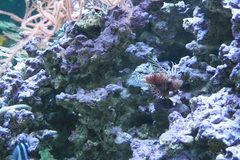 Killikus&reg; Fotographie